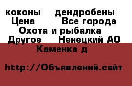 коконы    дендробены › Цена ­ 25 - Все города Охота и рыбалка » Другое   . Ненецкий АО,Каменка д.